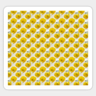 Buttercup pattern Sticker